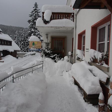 Haus Sommerberg Feldberg  Exterior photo